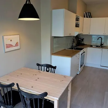 Lejlighed Moderne Leilighet I Sentrum Ved Togstasjonen. *